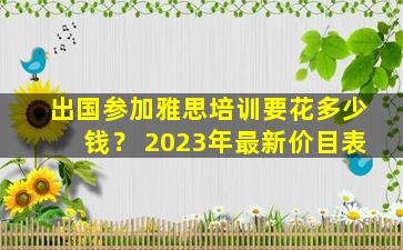 出国参加雅思培训要花多少钱？ 2023年最新价目表